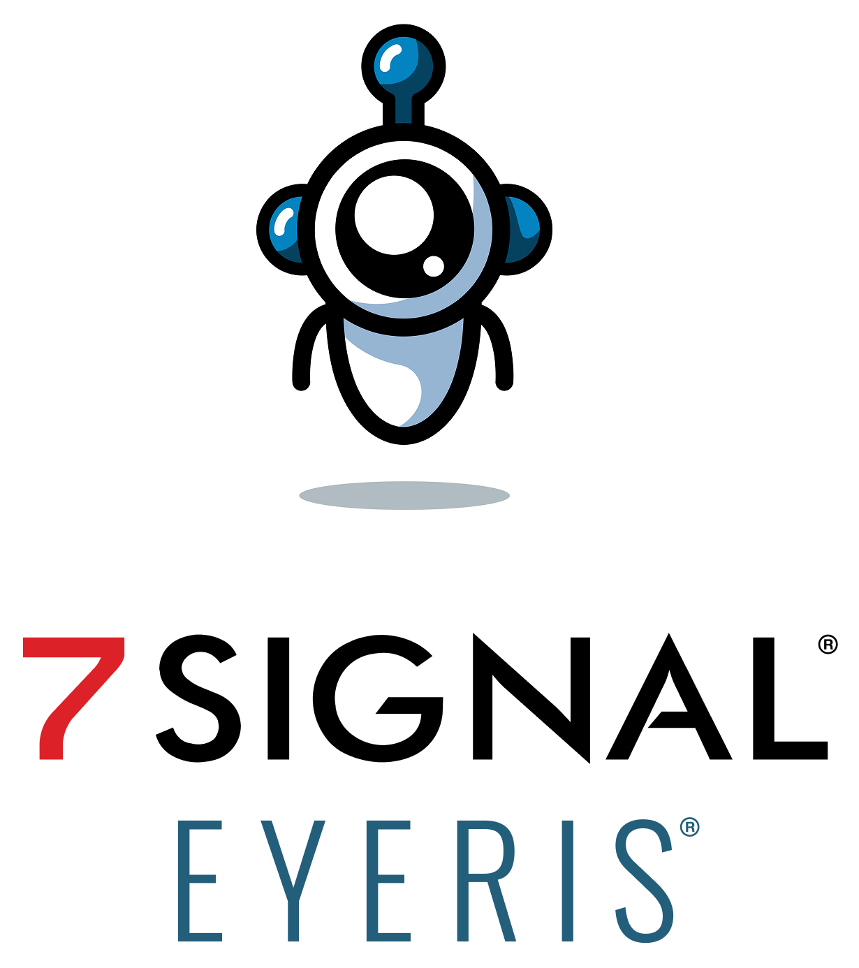 Virtual Network Engineer